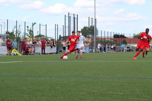 爱游戏官方网站入口登录-特色足球运动场设计结合智慧城市理念，实现多功能利用，趣味足球场设计